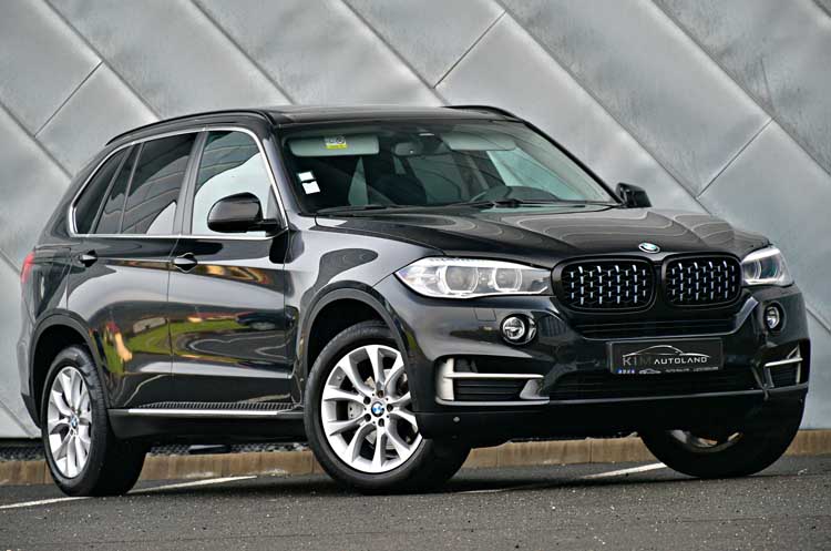 BMW X5 2.0d SDrive 25 Sport-Aut.